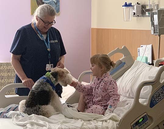 Finley-Therapy-Dog-with-peds-patient